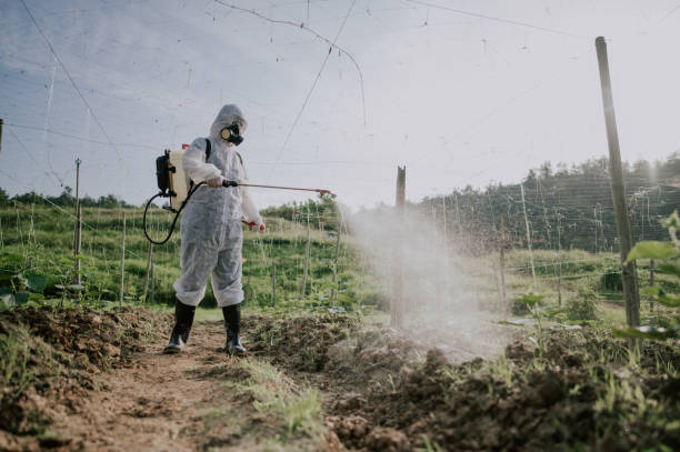 Best Affordable Pest Control Services  in Victor, ID