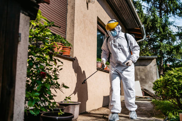 Best Pest Inspection Near Me  in Victor, ID