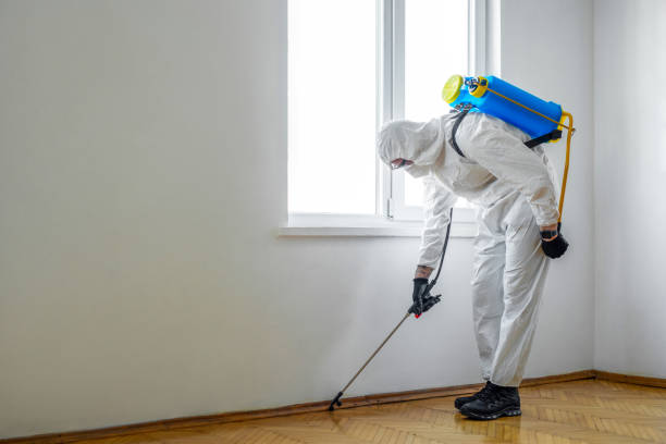 Best Residential Pest Control  in Victor, ID