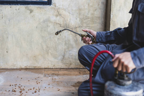 Best Exterminator Services  in Victor, ID
