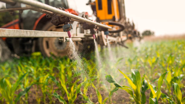 Best Pest Prevention Services  in Victor, ID
