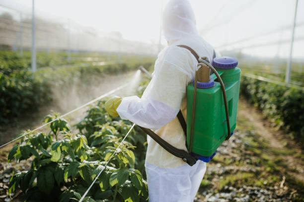Best Exterminator Services  in Victor, ID